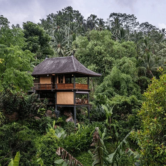 Where Nature Meets Lifestyle in Bali